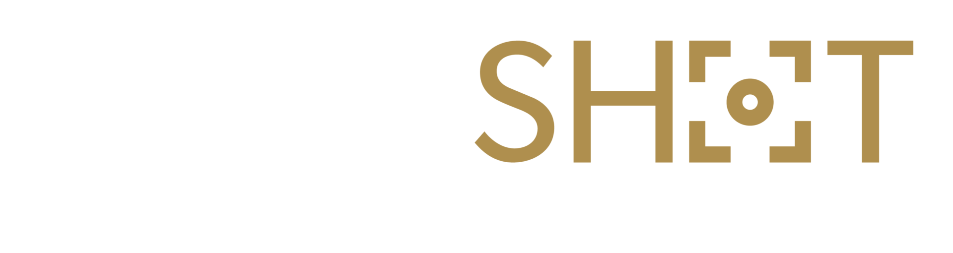 HeroShot Logo Design