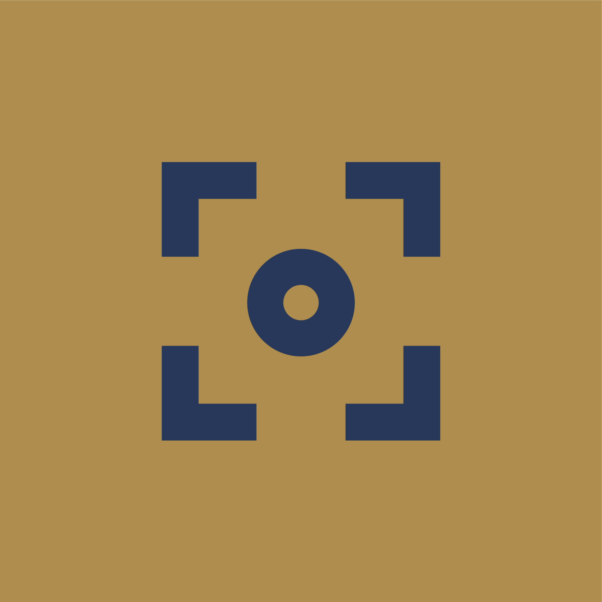 HeroShot Social Icon